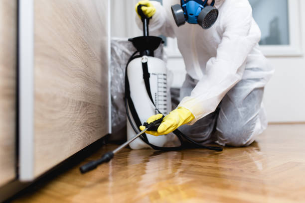 Best Pest Control Near Me  in Mission Hills, KS