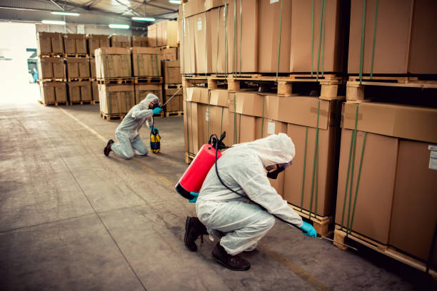 Best Flea Control Services  in Mission Hills, KS