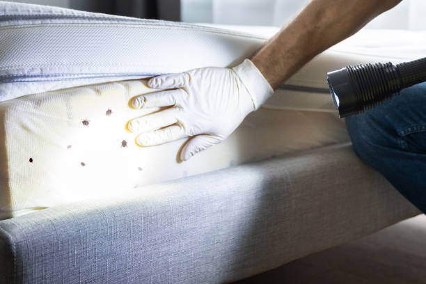 Best Pest Control Near Me in Mission Hills, KS