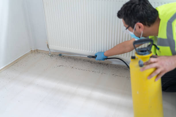 Best Exterminator Services  in Mission Hills, KS